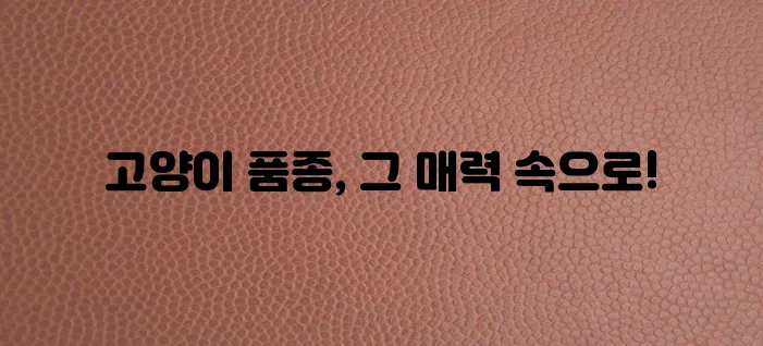 다양한 고양이 품종 매력적인 특징을 알아볼까요!