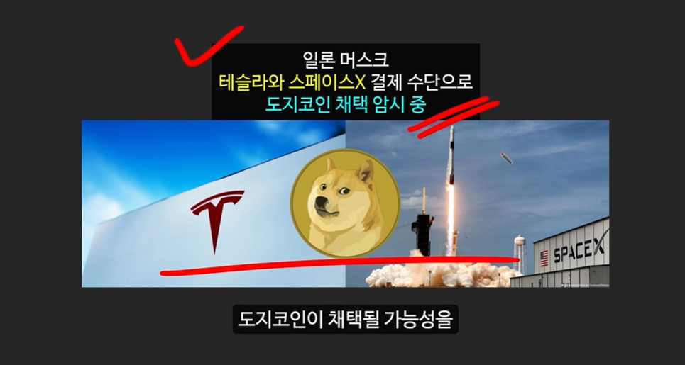 일론 머스크의 충격 발언과 도지코인, 플로키코인, 위프코인, 피넛코인, 프레드 코인의 강력한 상승 가능성 분석