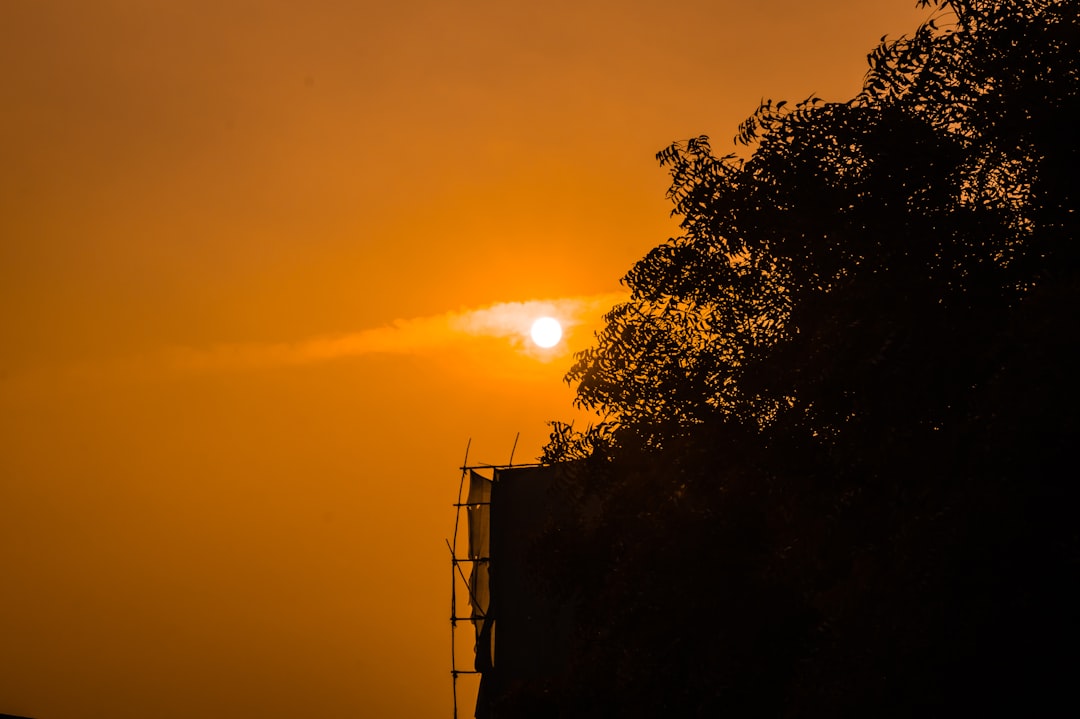 Sun.