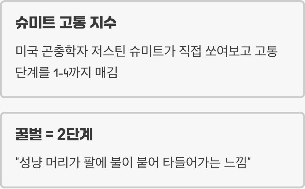 벌침 고통의 기준&amp;#44; 슈미트 고통 지수