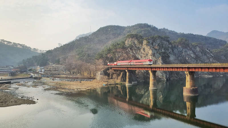 레일바이크