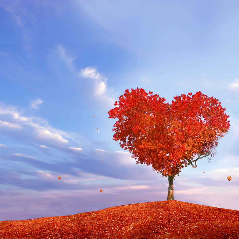 겨울난방비절감