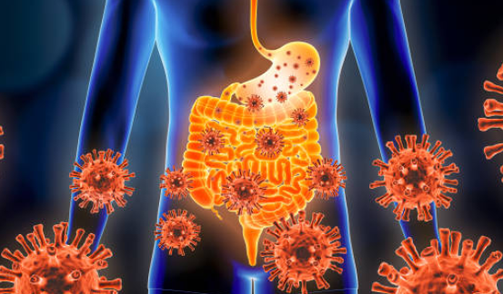 장염에 좋은 음식