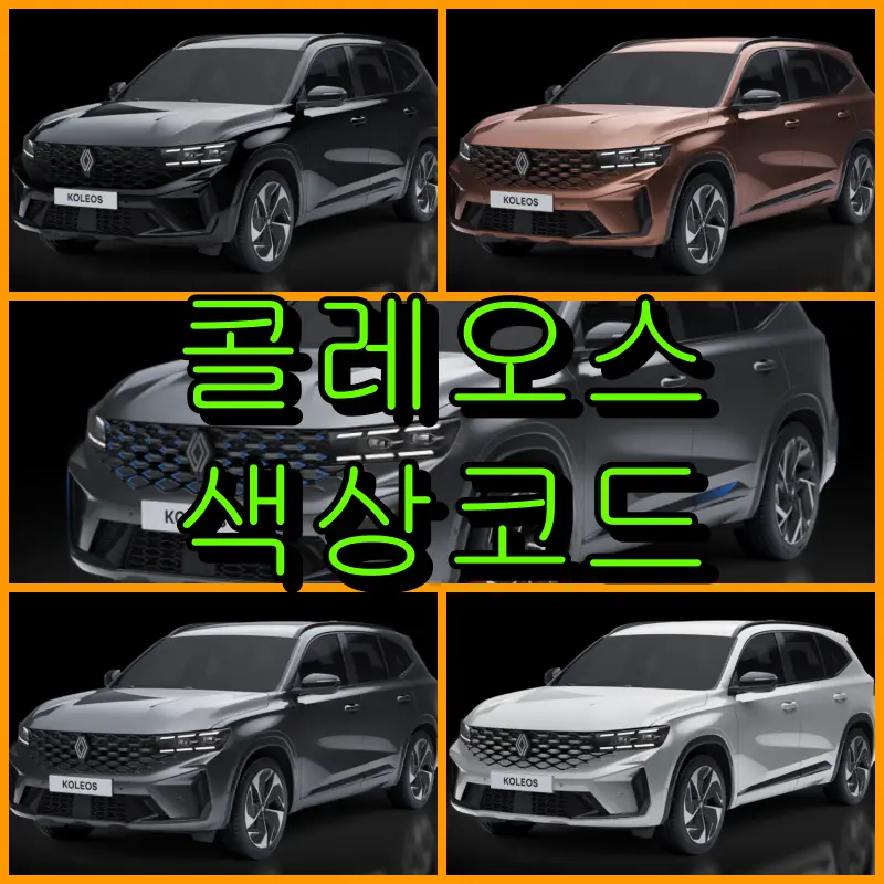 콜레오스 색상코드