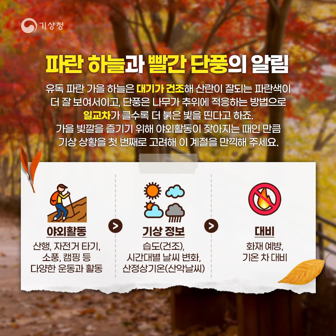 가을에 면역력이 흔들리는 이유와 관리 방법