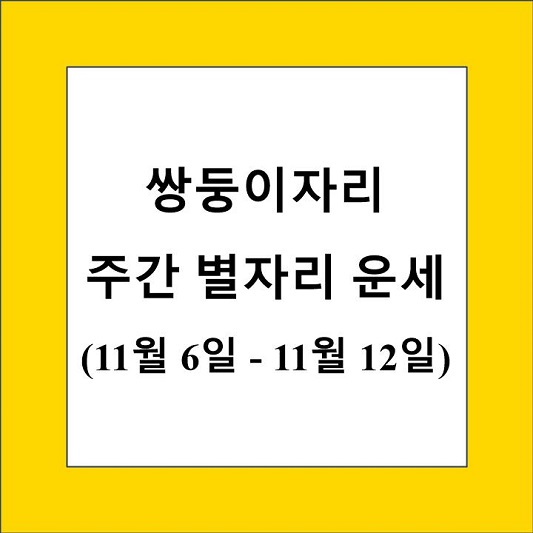 쌍둥이자리 주간 별자리 운세 제목 상자