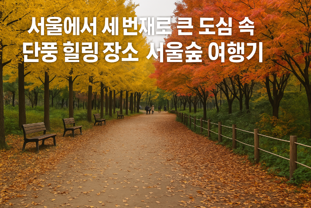 서울숲 단풍 명소, 도심 속 힐링 여행 완벽 가이드