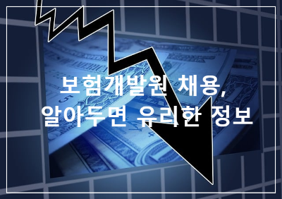 보험개발원 채용