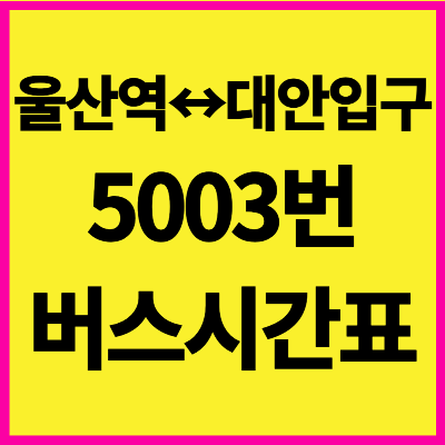 울산 5003번 버스 시간표