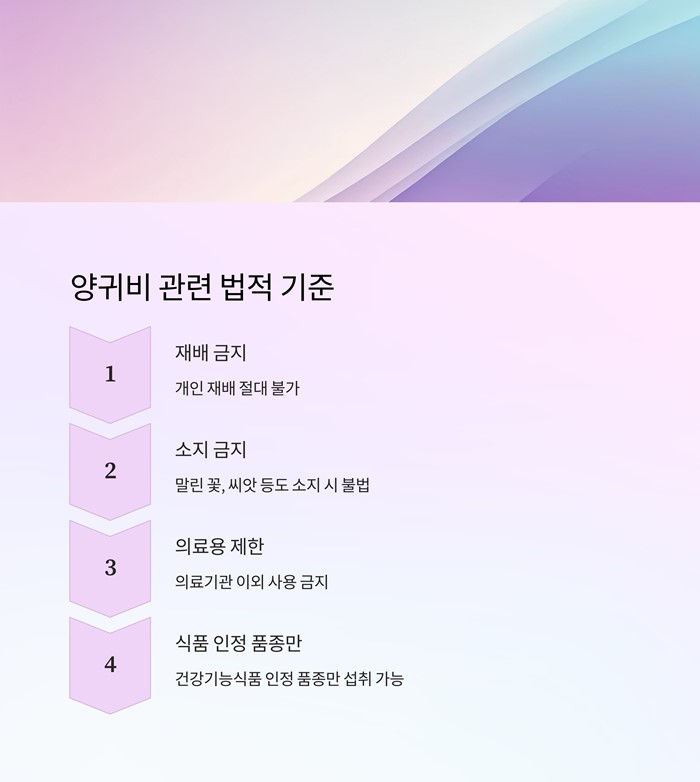 양귀비 효능과 부작용&amp;#44; 섭취 전 꼭 알아야 할 5가지 요약 이미지