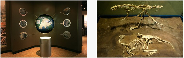 고성 공룡 박물관(9)