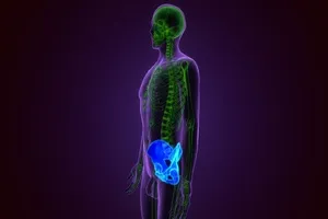 고관절-통증-원인