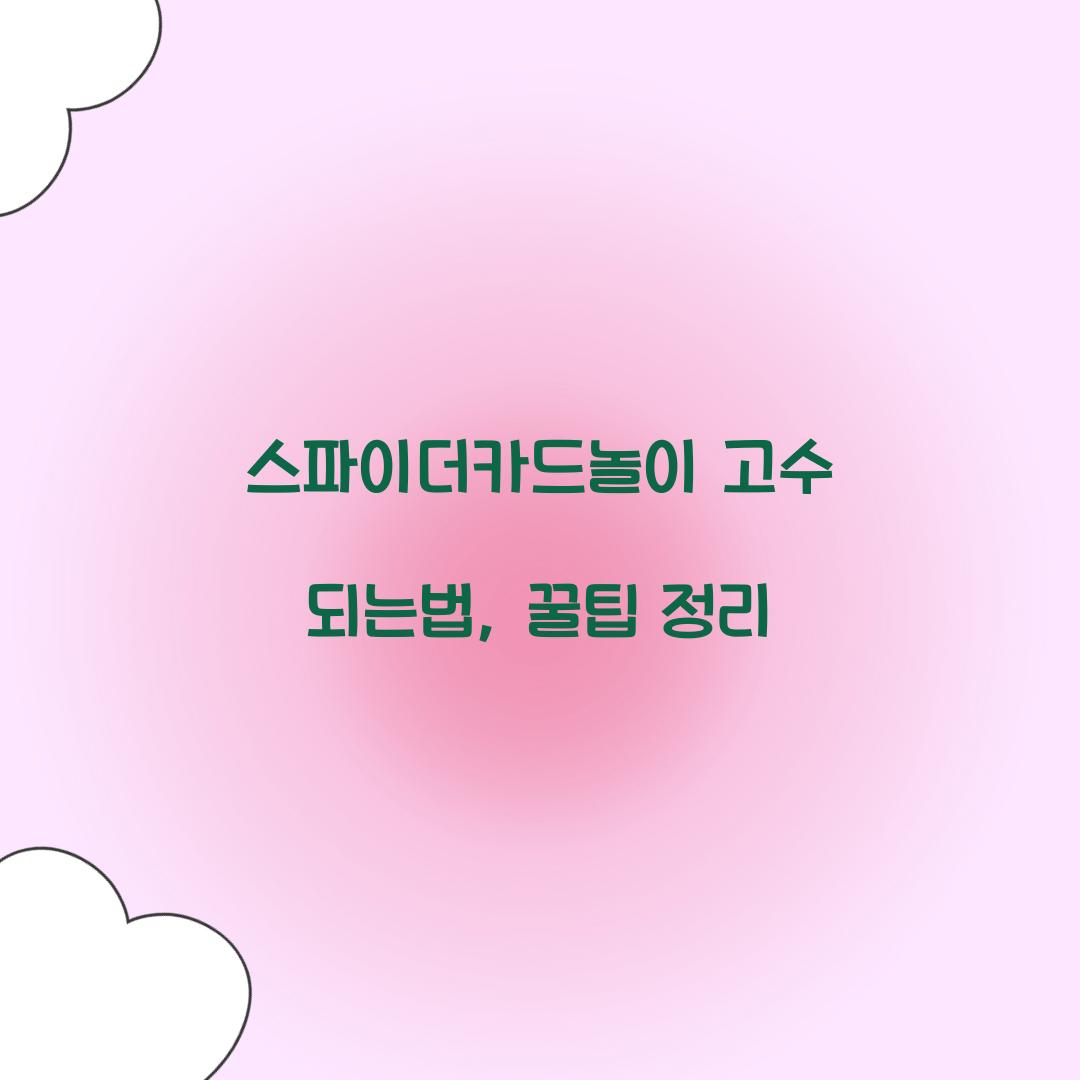 스파이더카드놀이