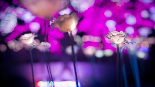 인터랙티브 미디어아트(Interactive MediaArt) 예시입니다.