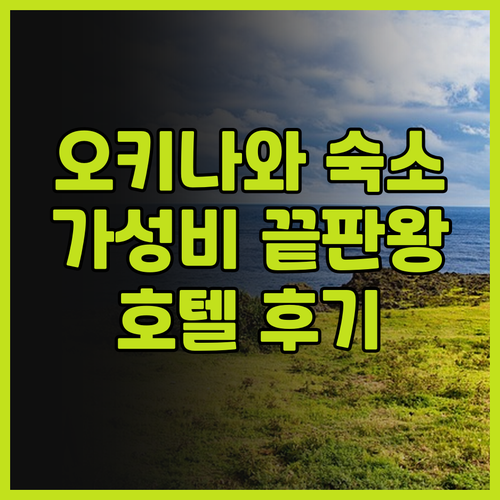 다이와 로이넷 호텔 오키나와 겐초마에