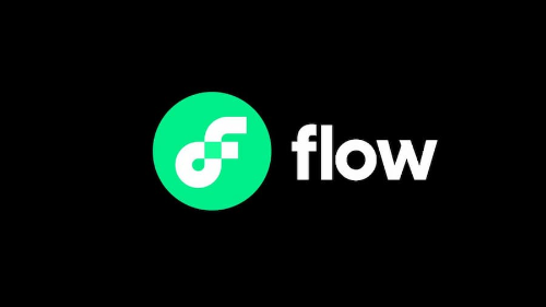 플로우(FLOW) 코인의 배경 특징 용도 가격추이 미래전망
