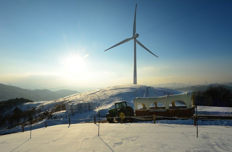 대관령 하늘목장