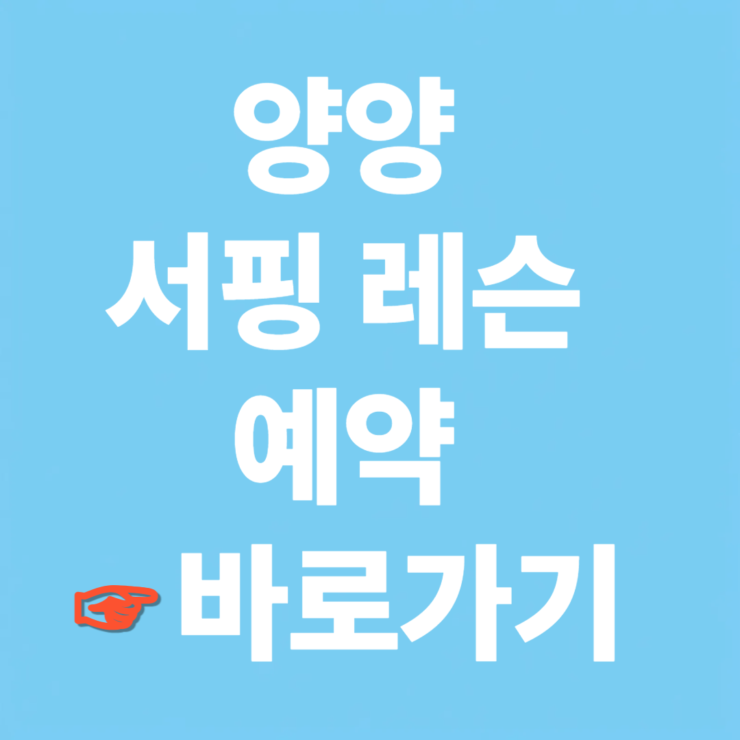 양양 서핑학교 레슨 예약 사이트 바로가기