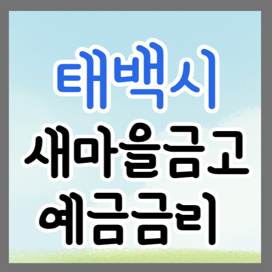 강원도 태백시 새마을금고 정기예금 금리 높은 곳 추천 ❘ 금리비교 ❘ 특판 ❘ 적금금리