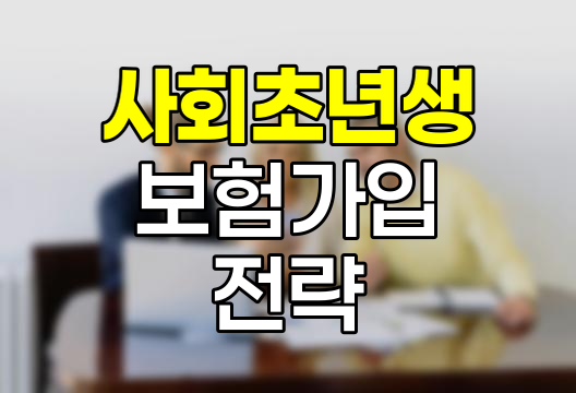 사회초년생 보험가입 핵심 전략