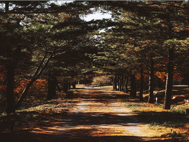 가평 가볼만한곳 베스트10