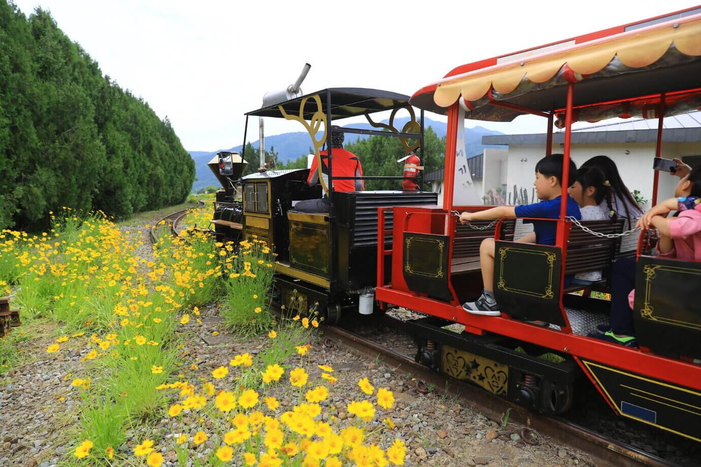 곡성기차마을 세계 장미축제