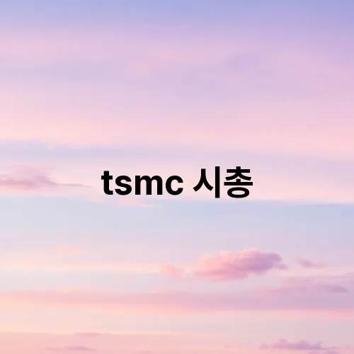 tsmc 시총