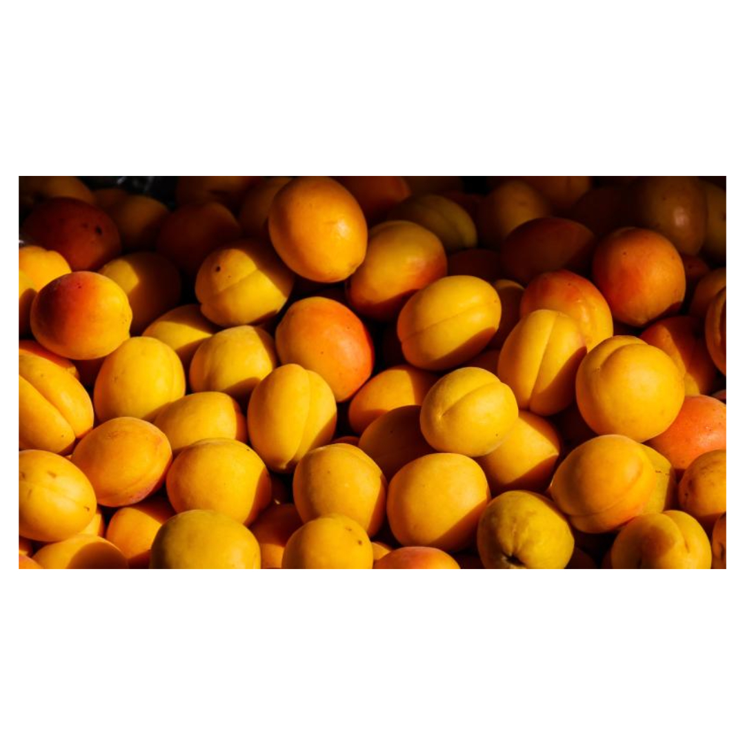 식물성 멜라토닌과 관련된 사진입니다.