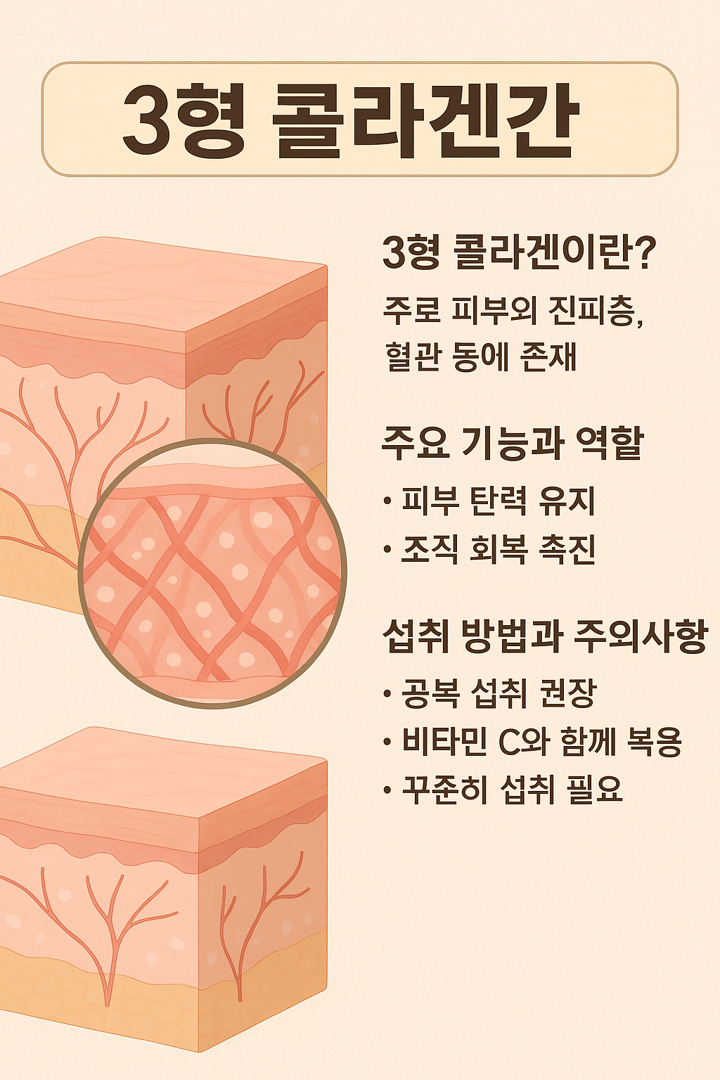 3형 콜라겐 과다복용