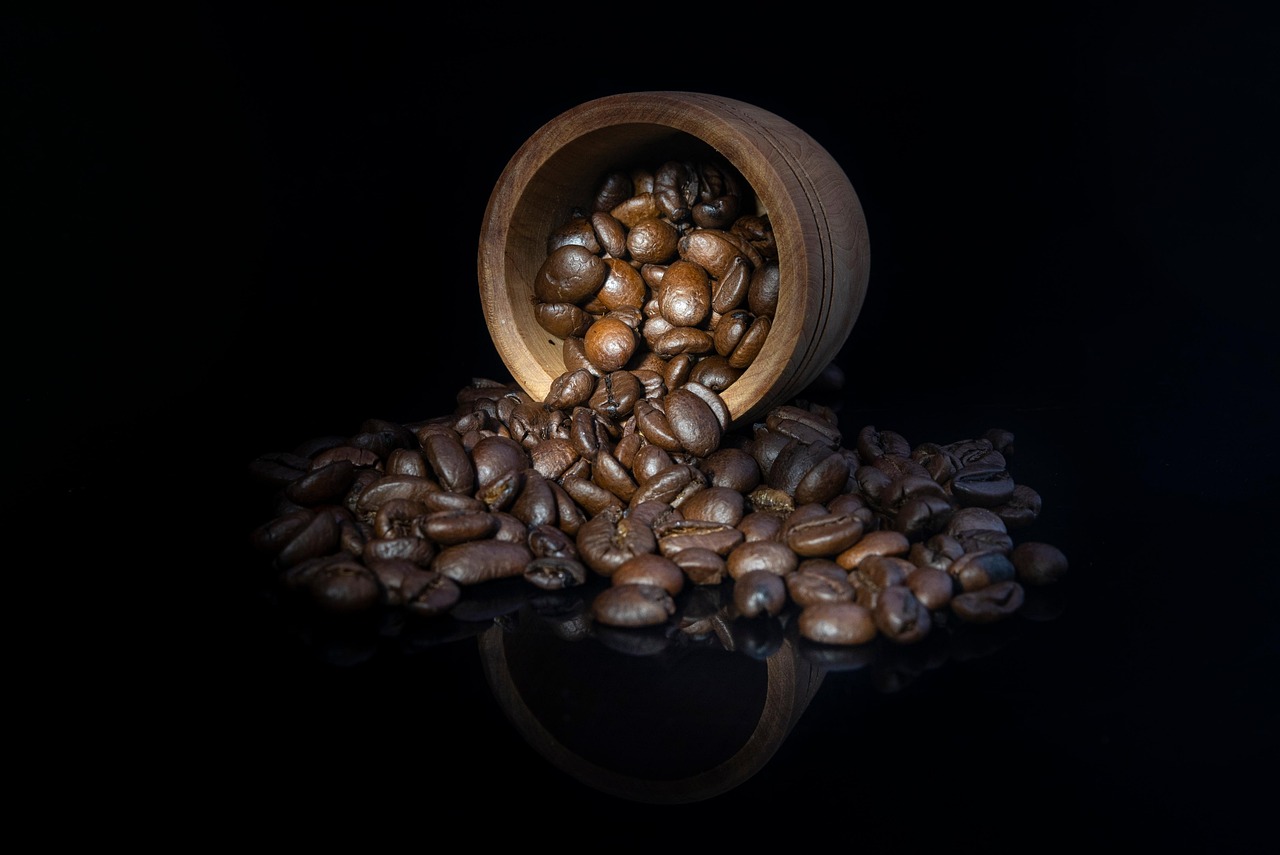 광복절 기념행사 사전 예약 방법 신청 방법