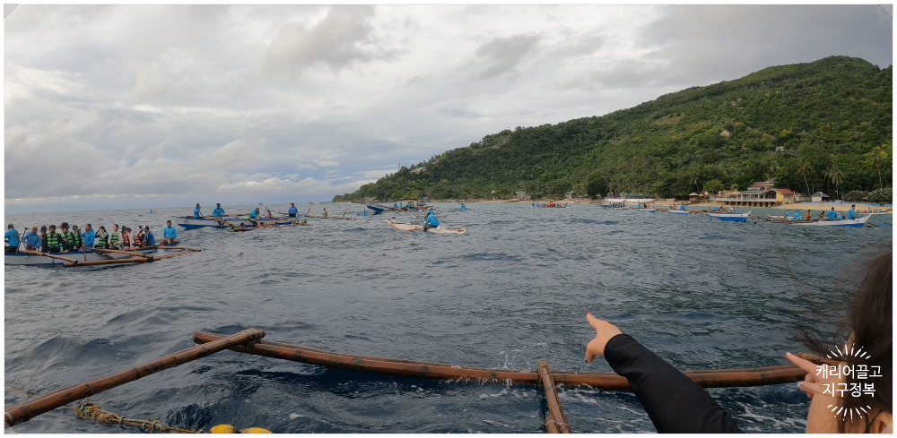 세부 오슬롭 고래상어