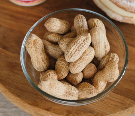 땅콩 효능 : 피부
