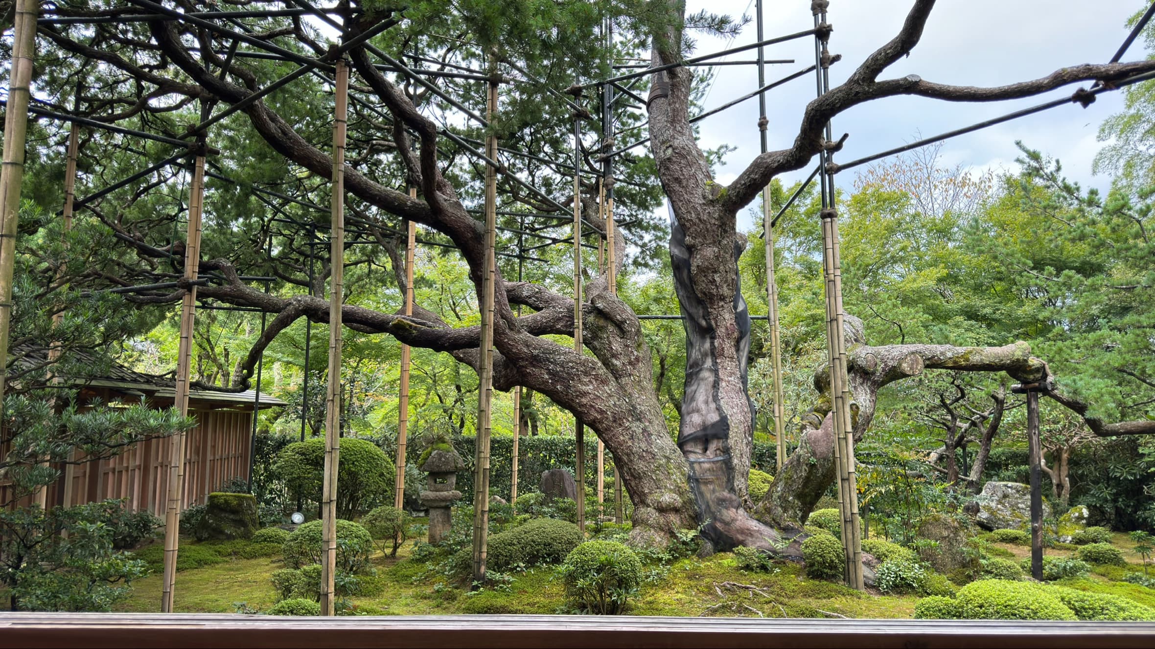 교토 오하라 호센인 ❘ 액자 속 풍경과 전쟁의 흔적이 공존하는 고즈넉한 사찰