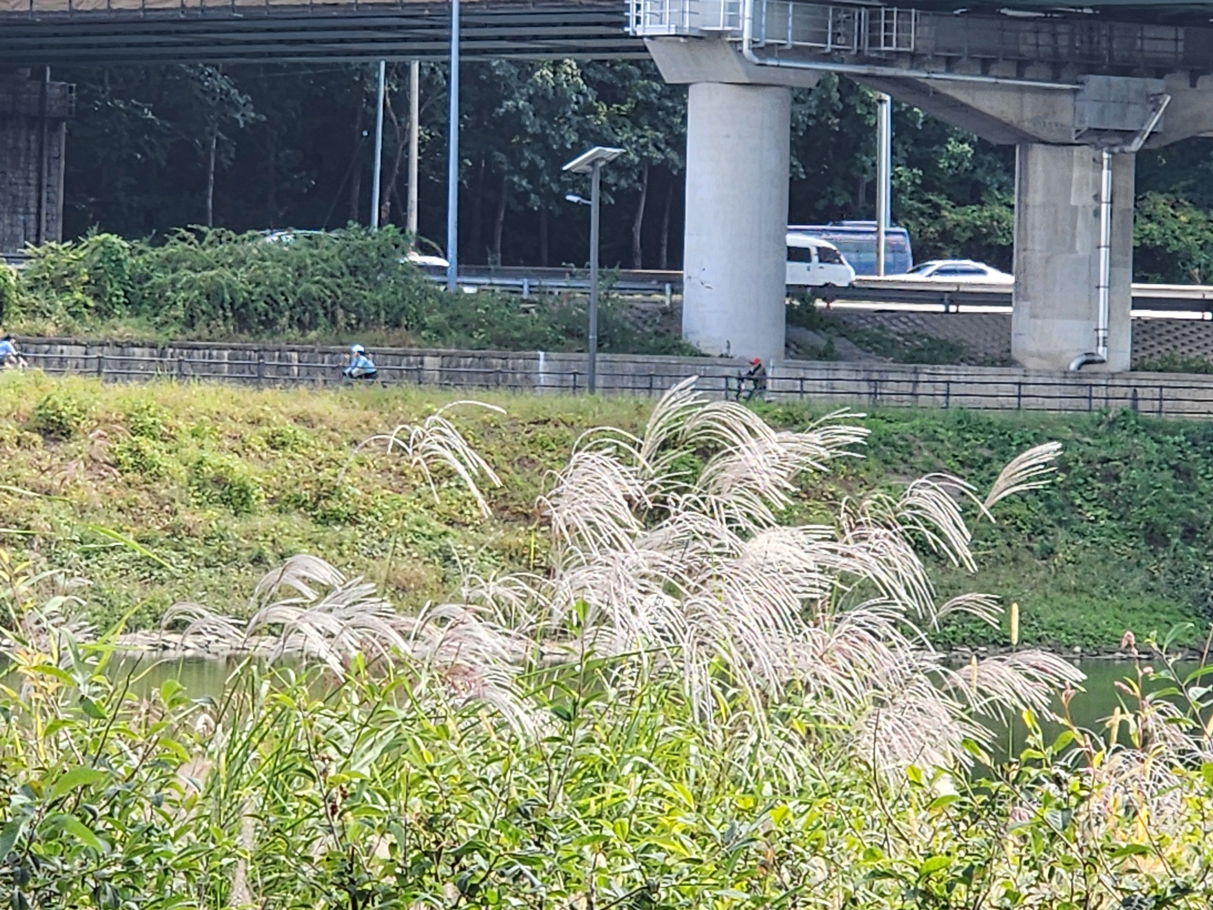 Alt 속성 문제 해결 설명 이미지