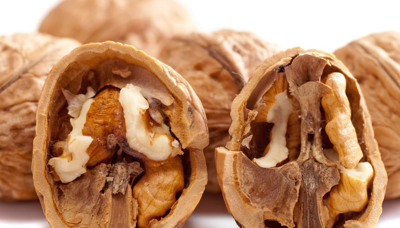 호두-건강미용식품-폴리페놀-항산화-오메가3-노화방지-견과류-심장건강-장건강