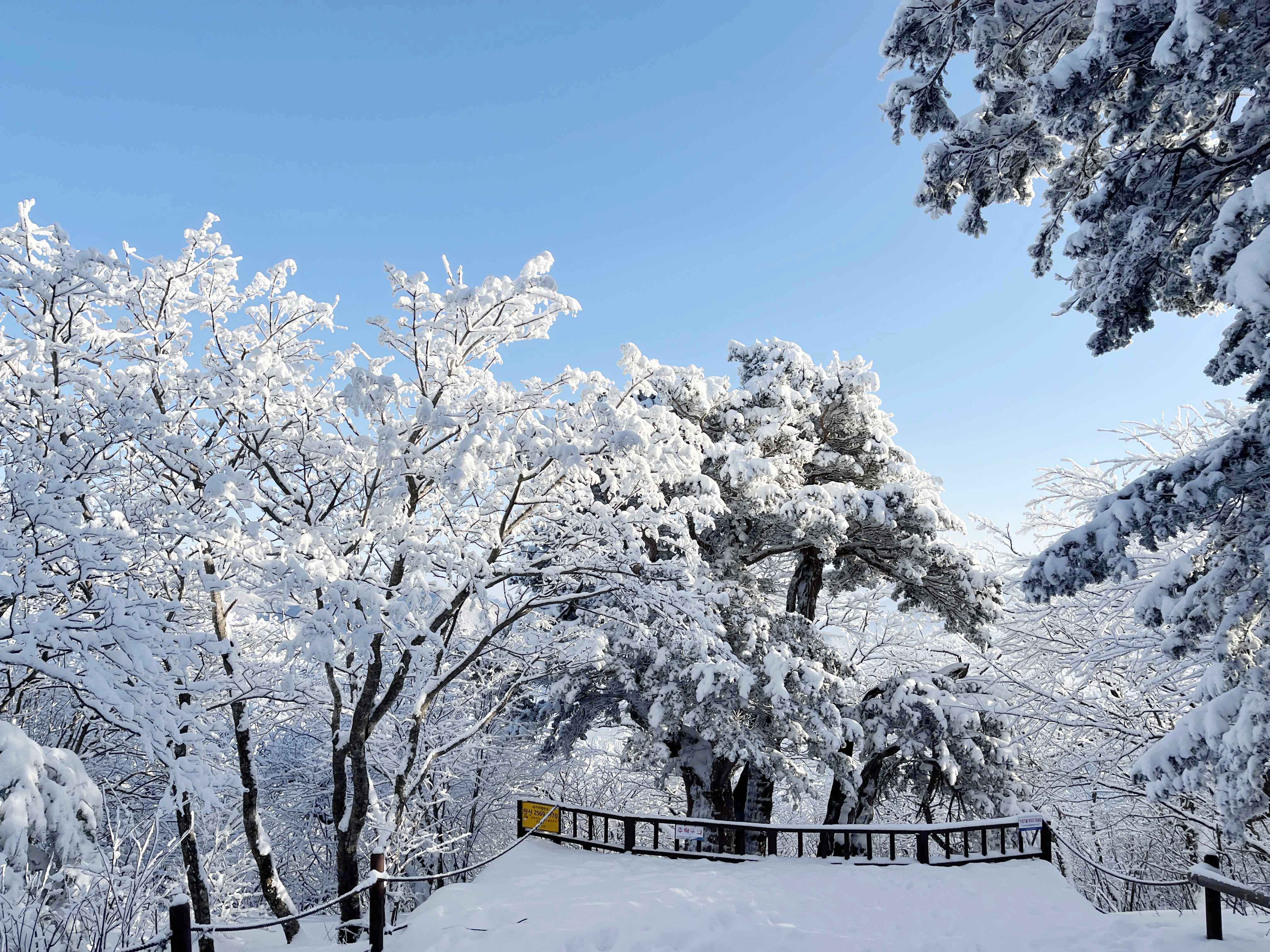 태백산