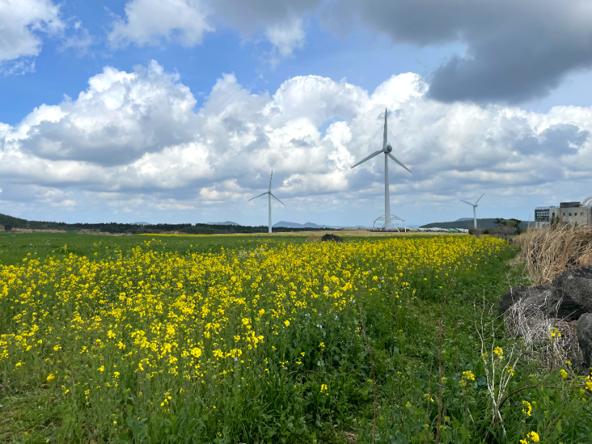 가시리 풍력발전단지