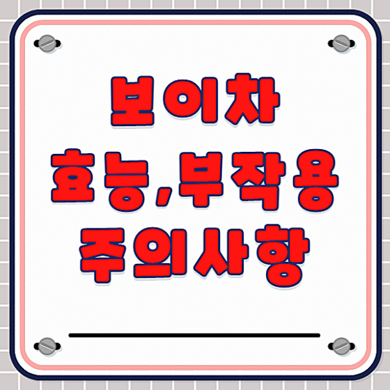 보이차 효능