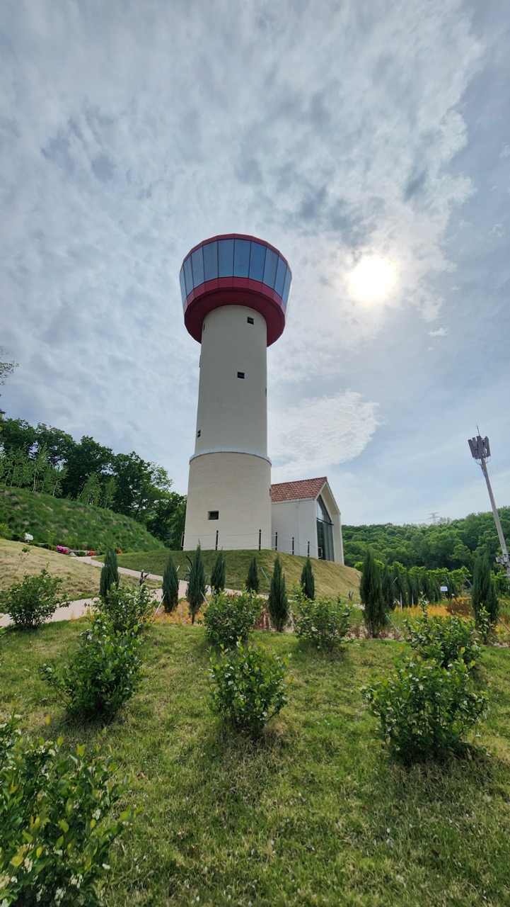 베툴라 카페 방문후기 이미지