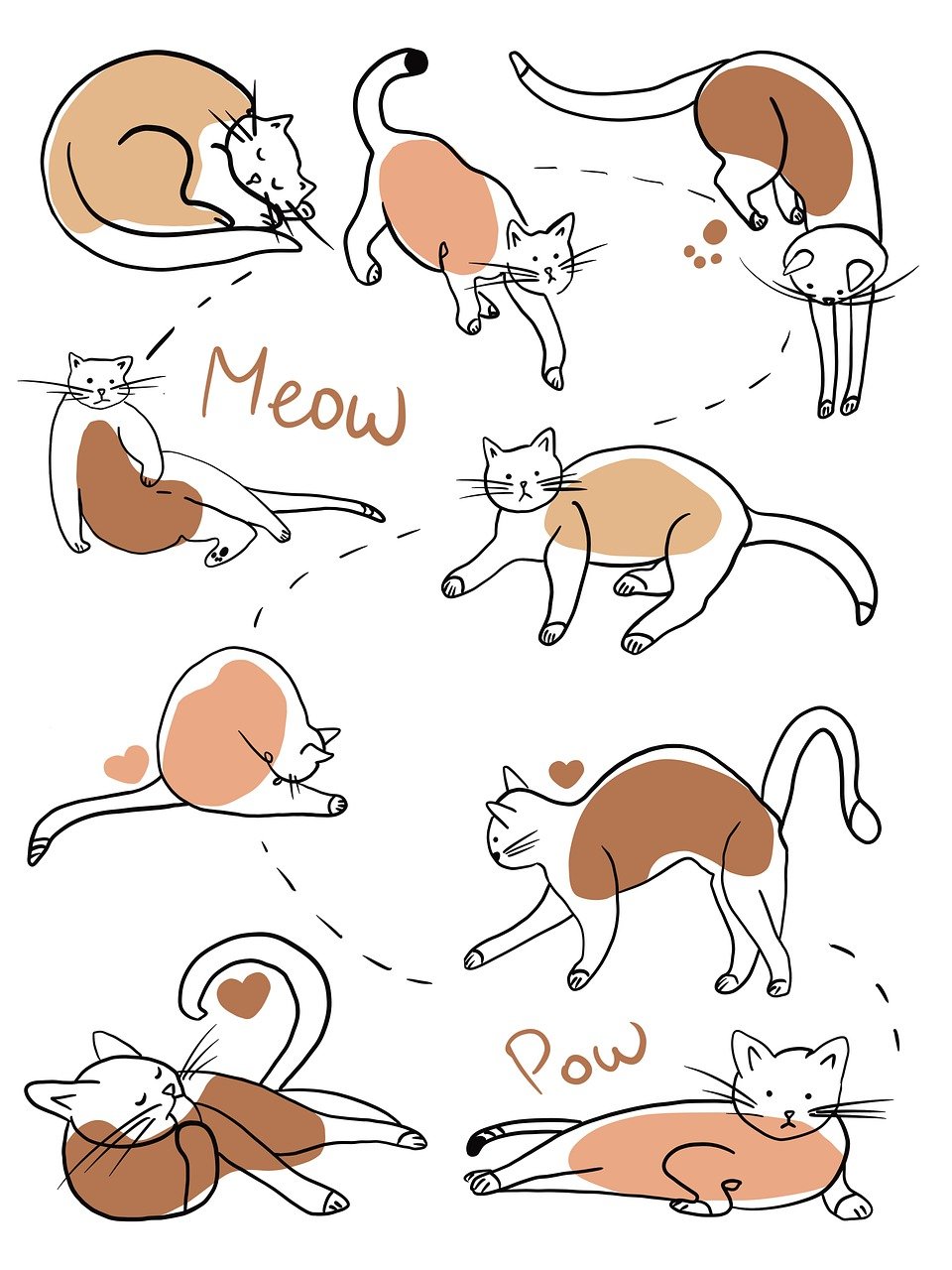 various cat drawings