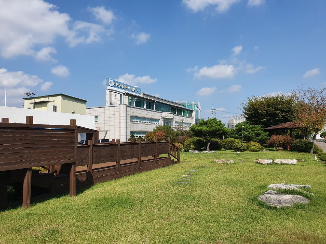 선인장-다육식물-연구소