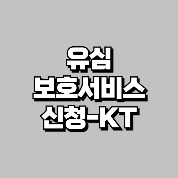 KT 유심 보호 서비스