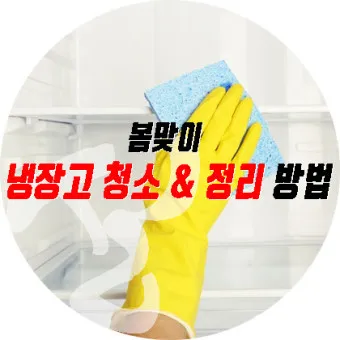 냉장고 청소하는 법 청소법_12