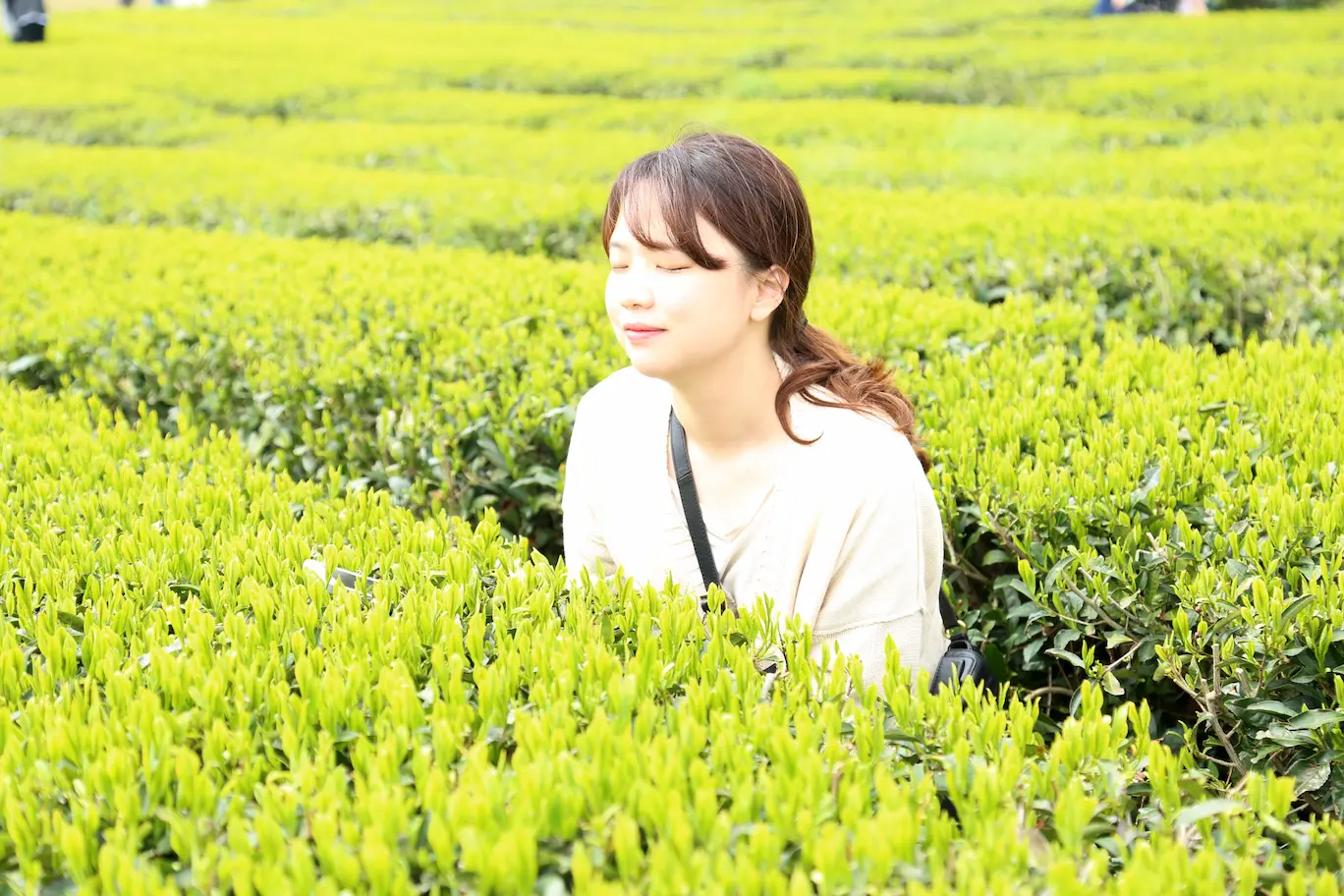 포토갤러리 메인2