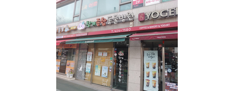 의왕시 동물병원