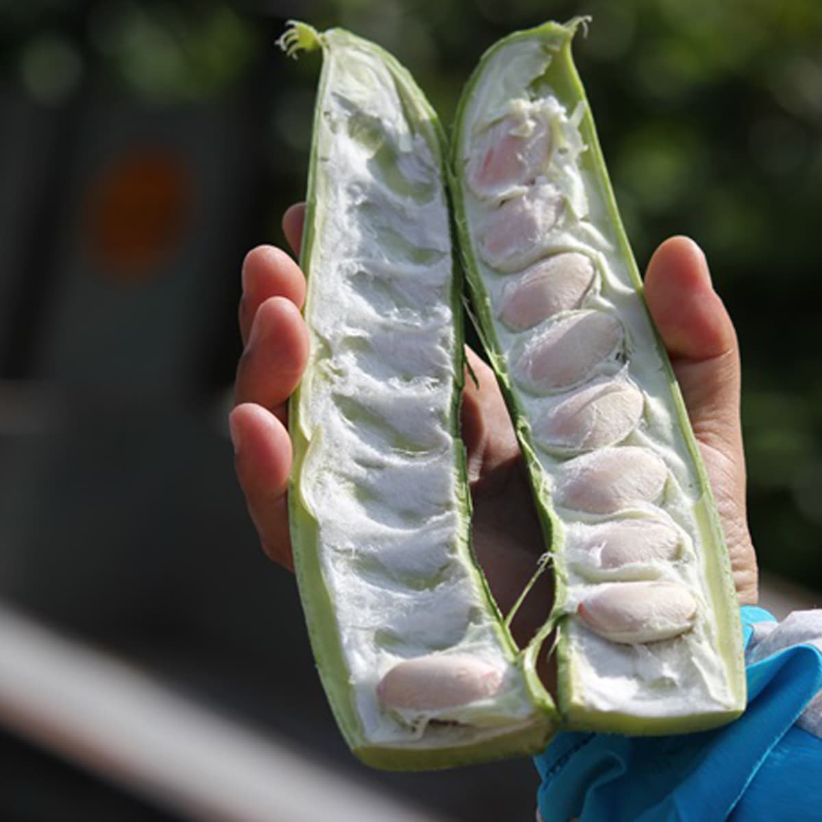 농지은행 부채농가 경영회생지원 농지매입사업