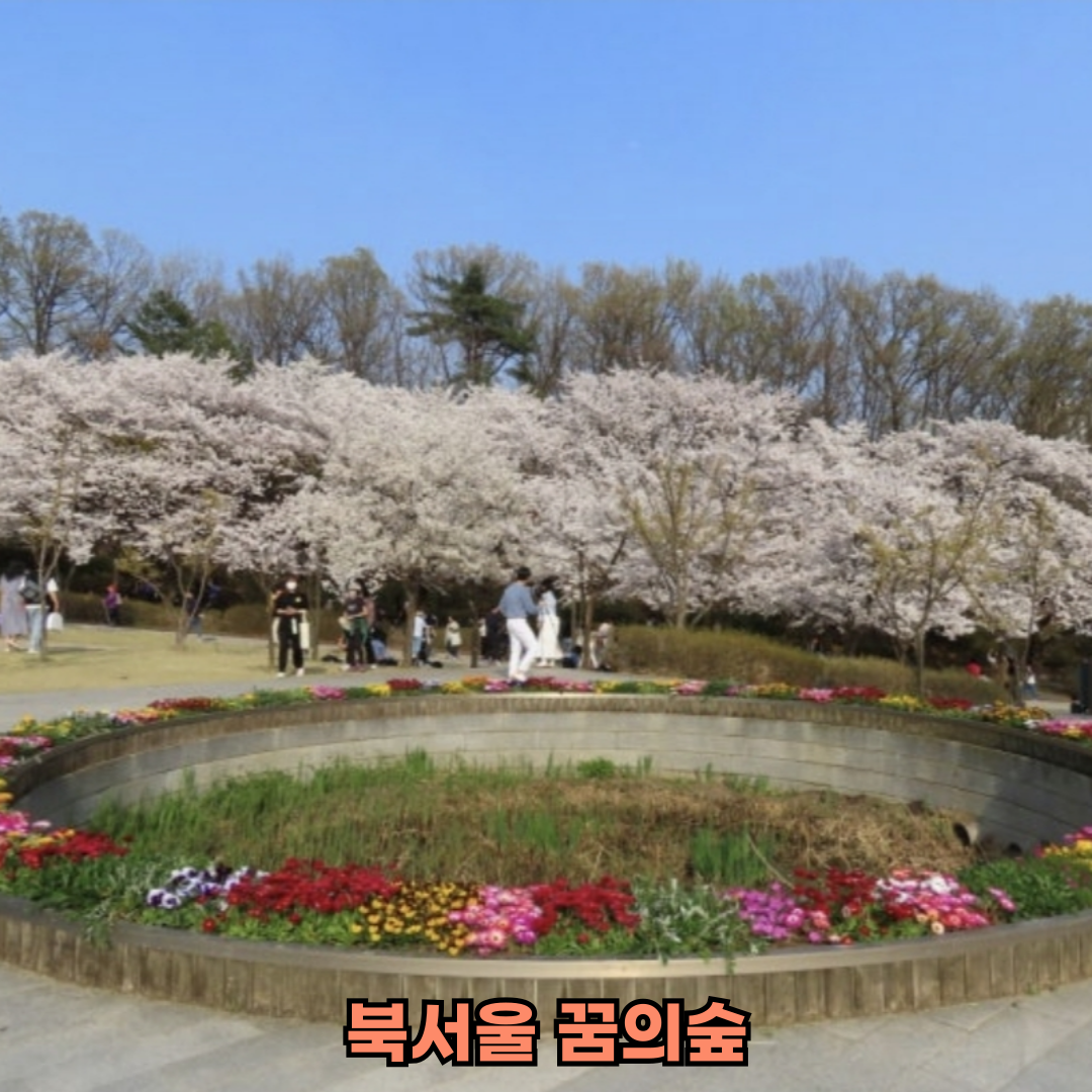 서울봄나들이핫플