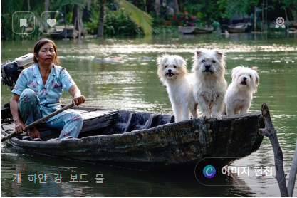 나만의 라이프 해킹 실험: 생산성, 건강, 심리적 안정을 위한 독특한 도전