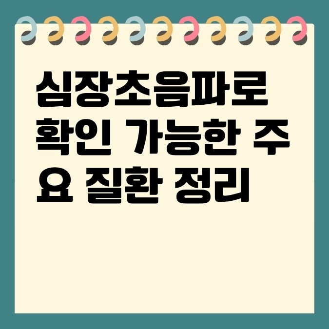 심장초음파로 확인 가능한 주요 질환 정리