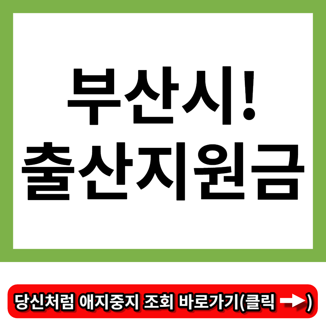 부산시 출산지원금